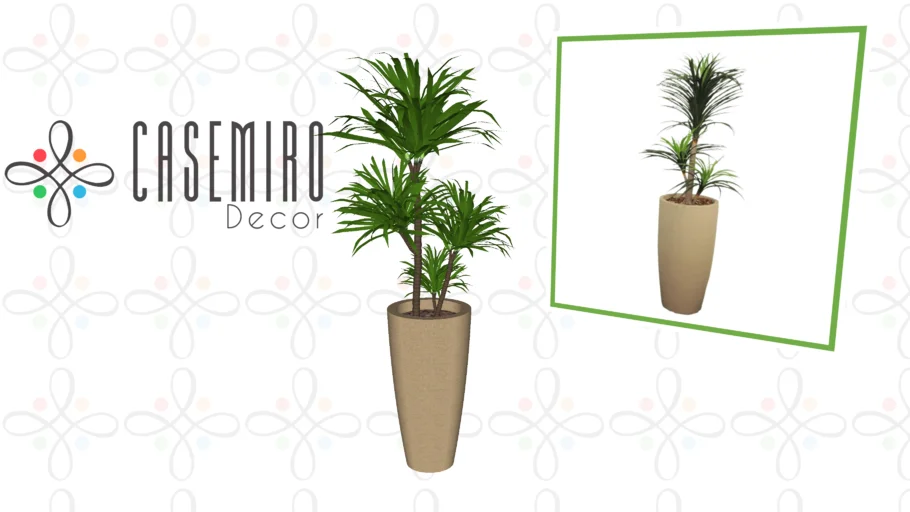 planta