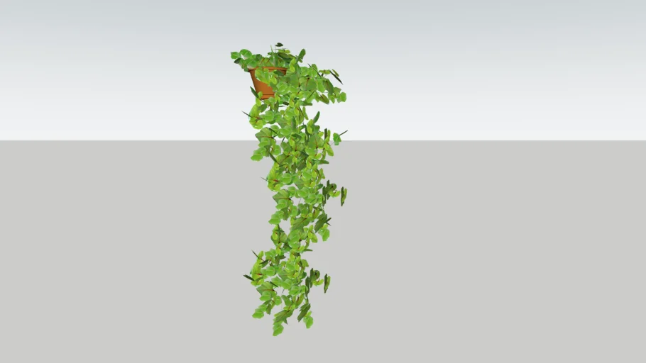 hangplant, hanging plants