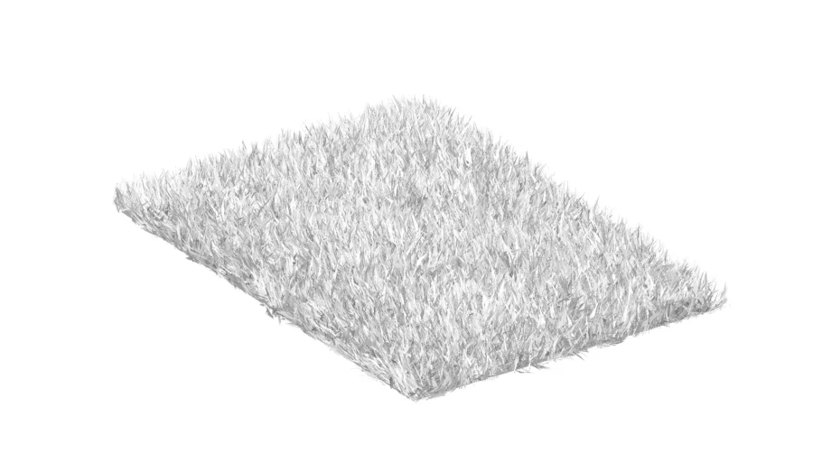 N_Rug_01