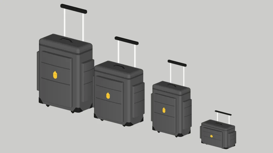 Luggage bags