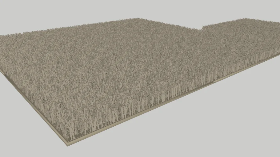 CARPET