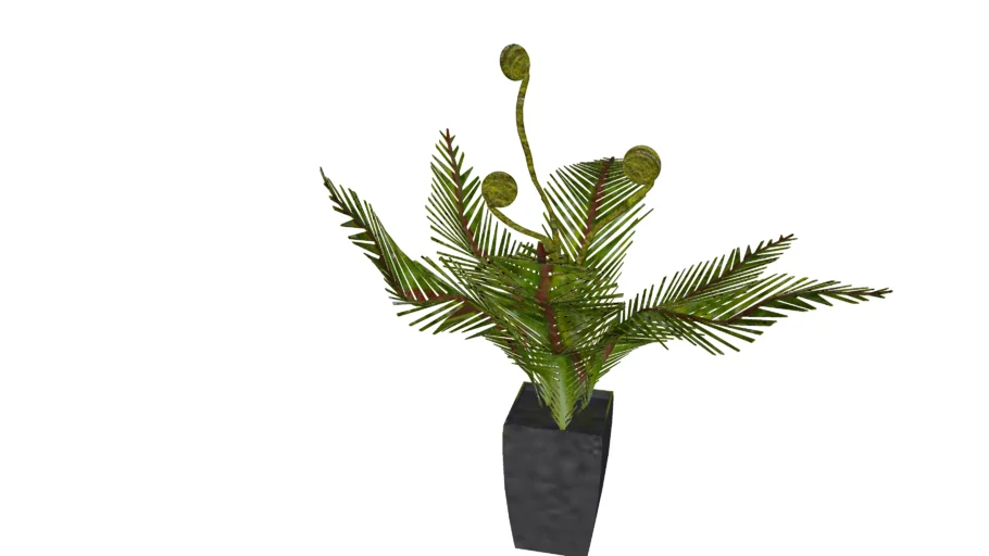 55911 Deco Plant Farn 55cm