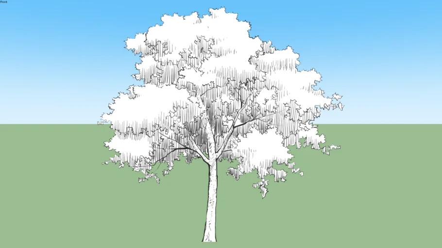 tree05L1f-a