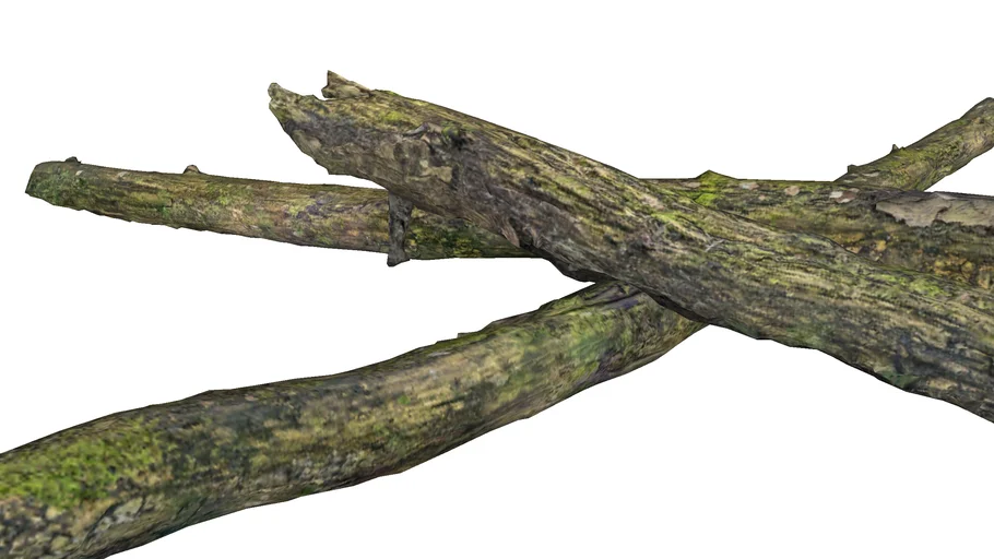Trunk3