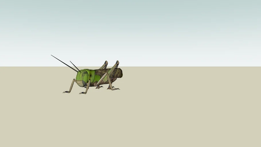 locust | 3D Warehouse