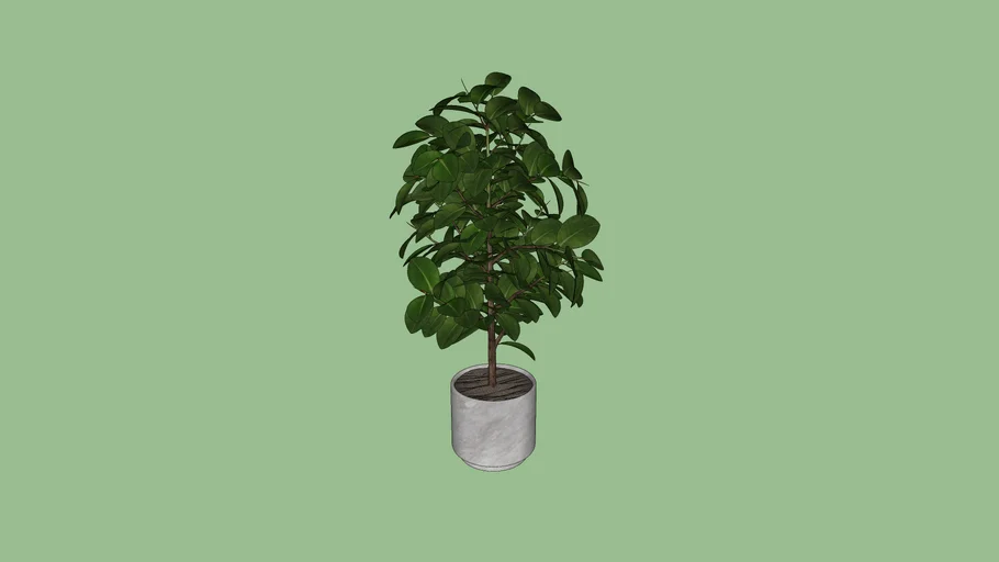 flo | 3D Warehouse