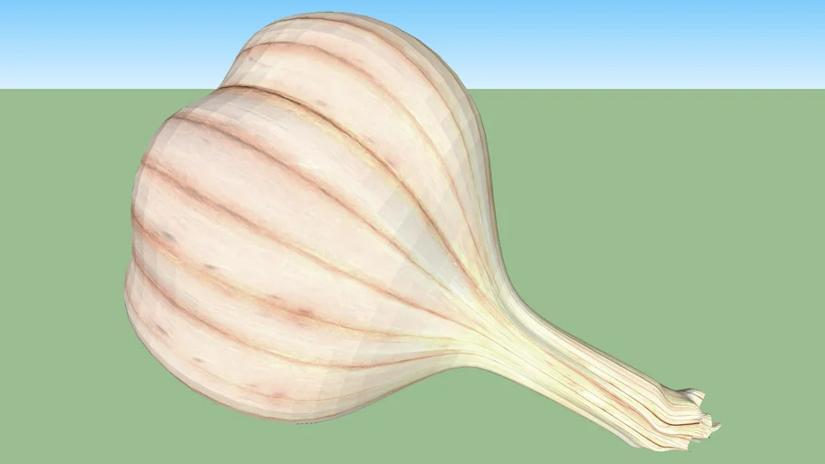Garlic