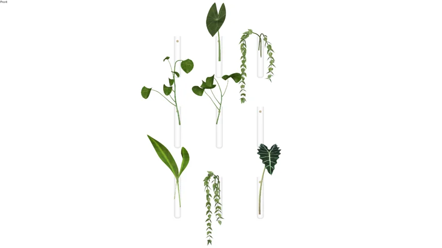 Living plant wall decor
