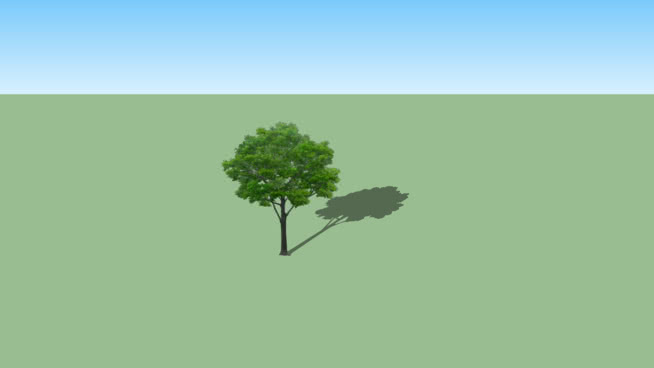2d tree 04