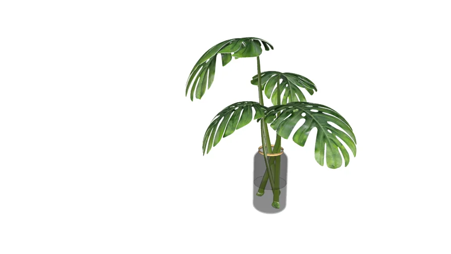 vase