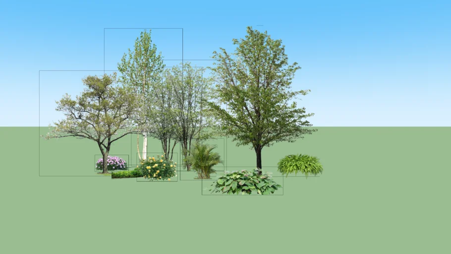 2D Tree & Plant