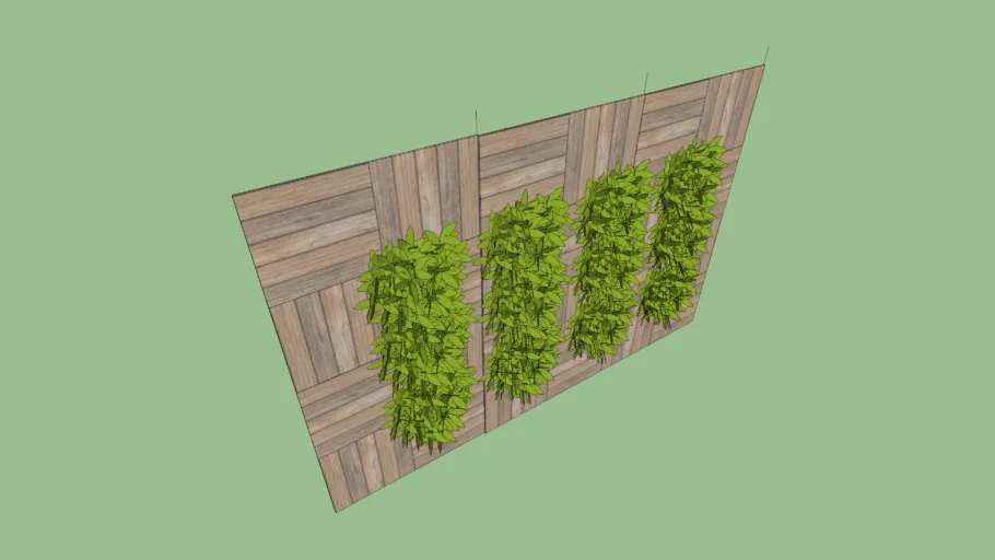 plant wall
