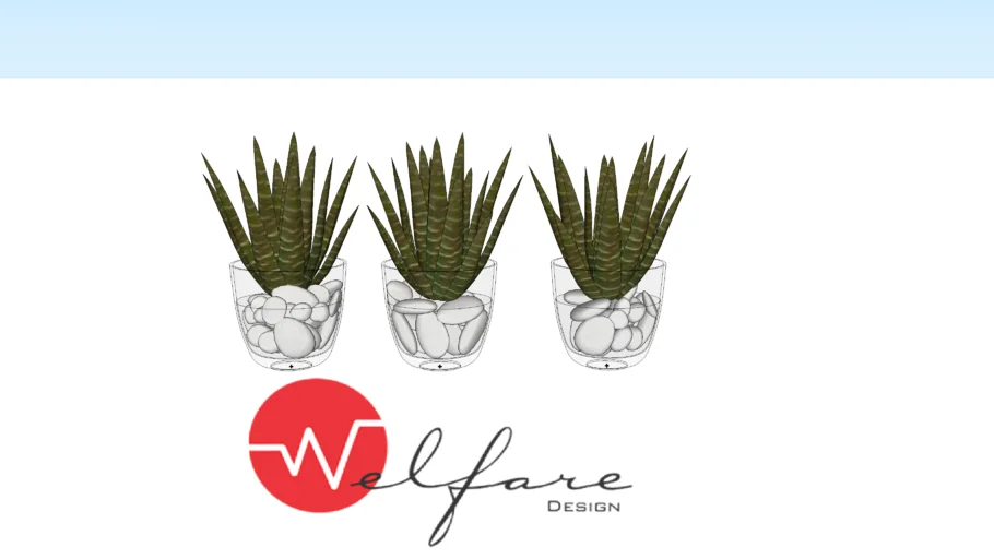 Three vase plant - Planta en vaso