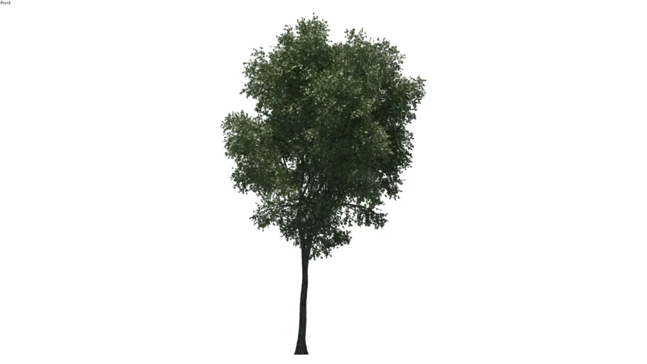 2D Tree 11