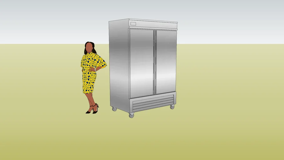 Refrigerator solid double door