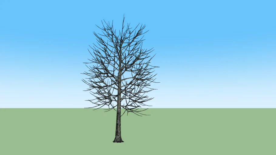 Arbol seco