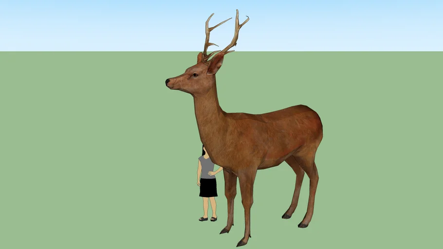 Deer 3d model