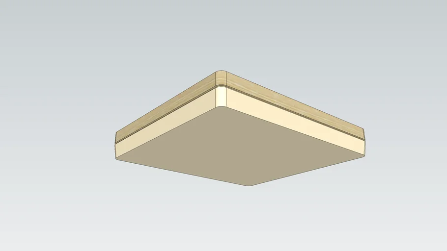 Minimalist Rectangluar ceiling light