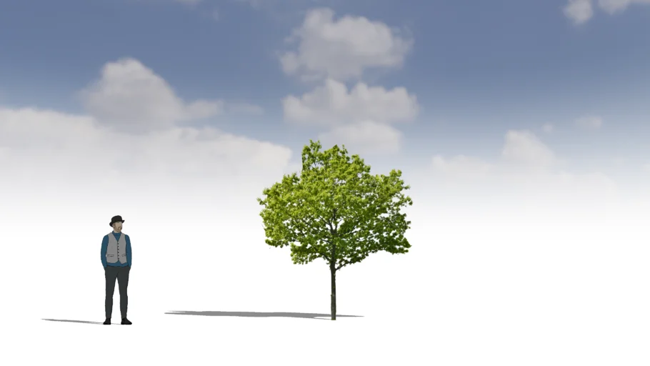tree with shadow | 3D Warehouse