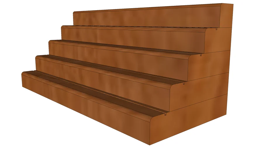 Military Coin Display