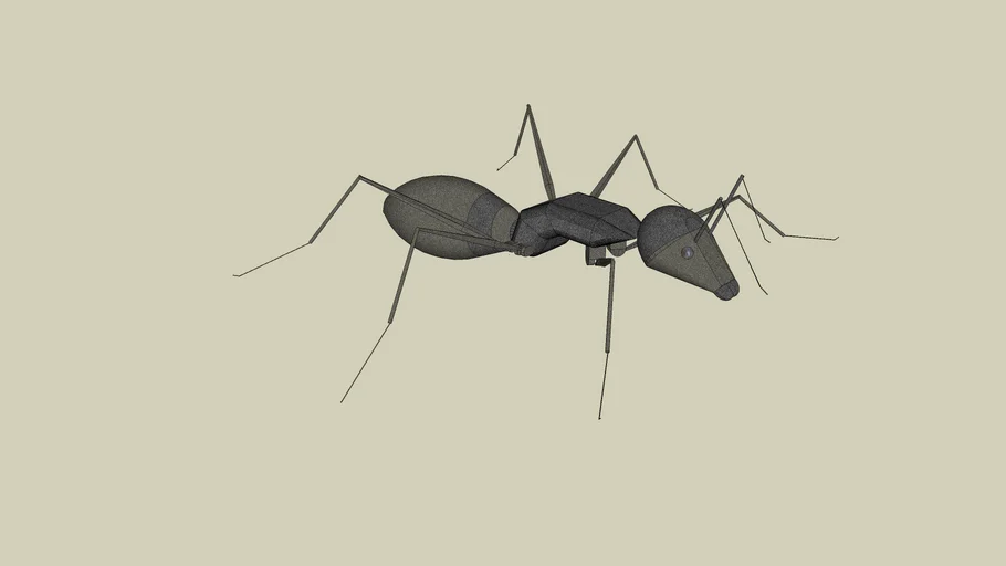 ANT | 3D Warehouse