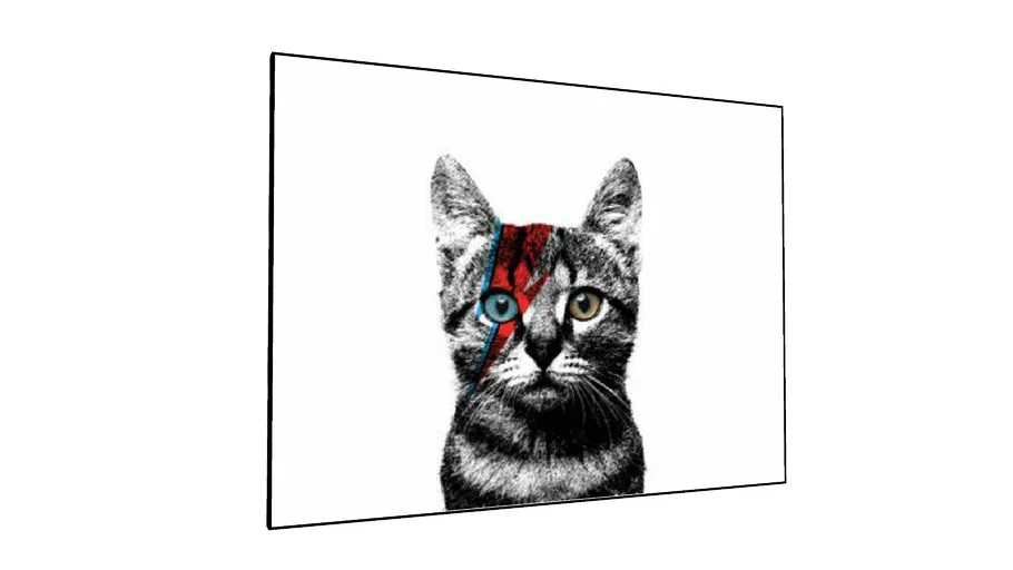 Quadro Cat Bowie