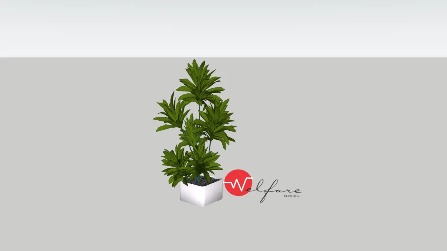 plantas