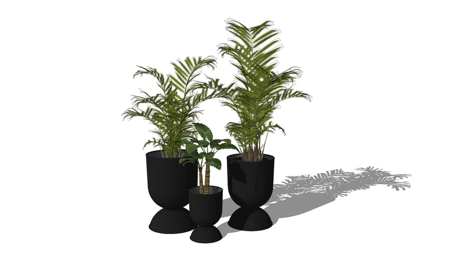 Big indoor plants set