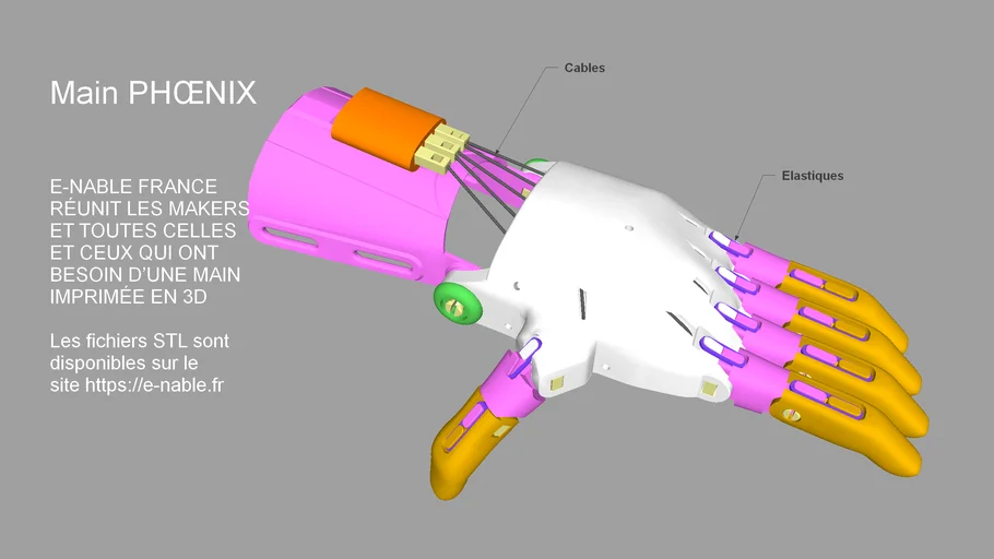Main Phoenix (prothèse)