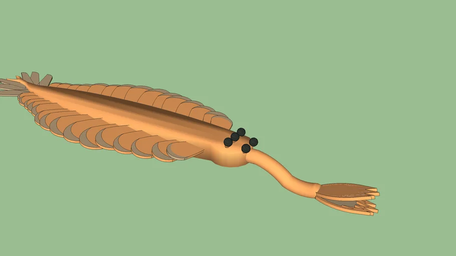 Opabinia regalis