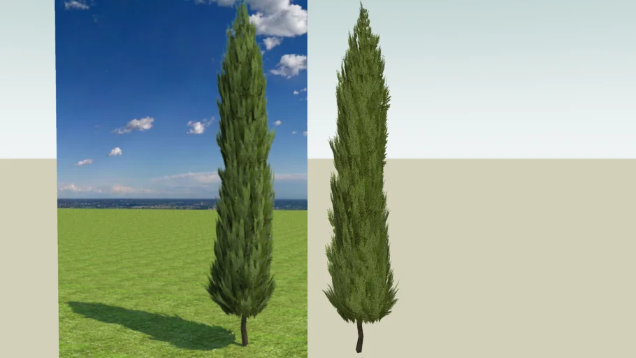 Cipreste Italiano Smart Tree