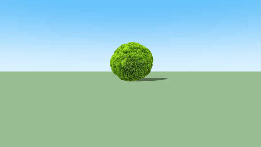 2d bush 01