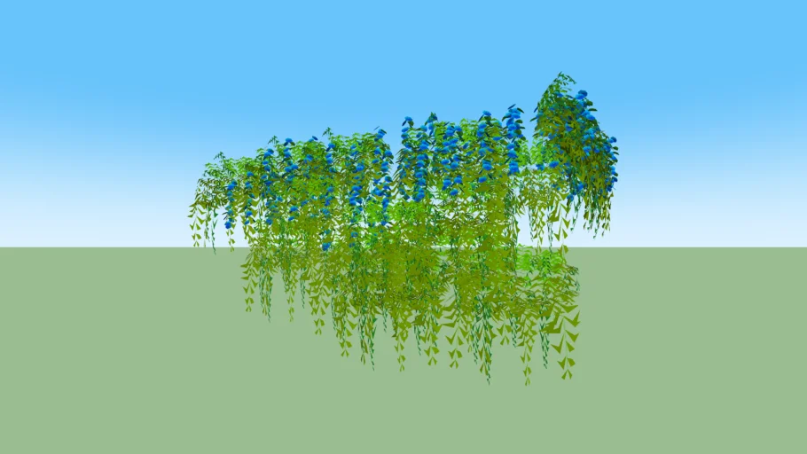 Creeper Plant