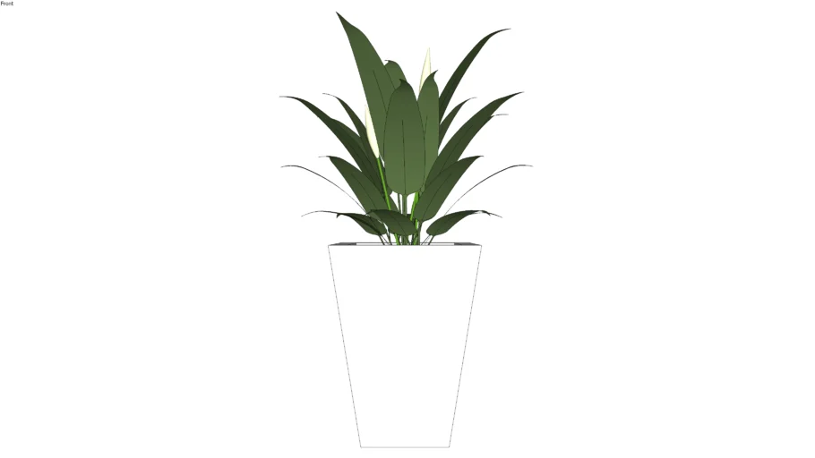 Maceta con planta