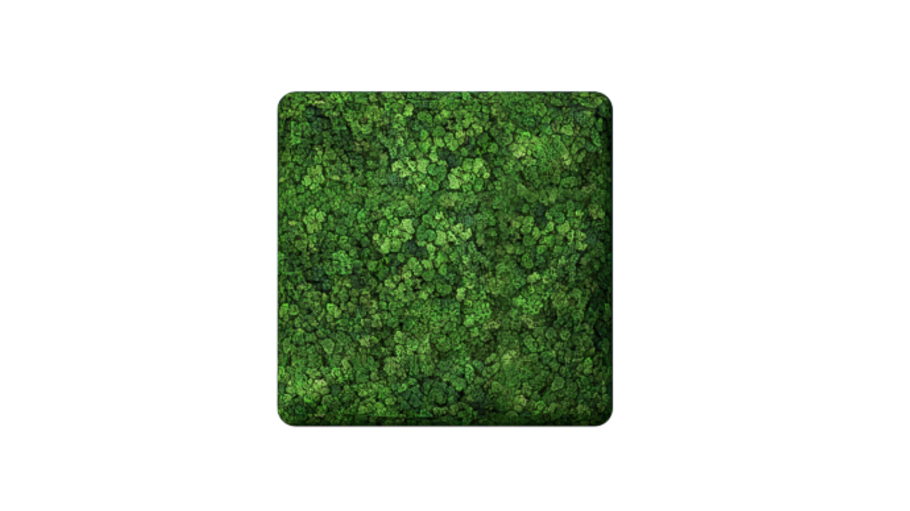 Convex Square Medium