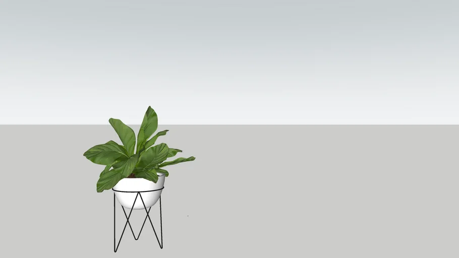 Planta com suporte de chão