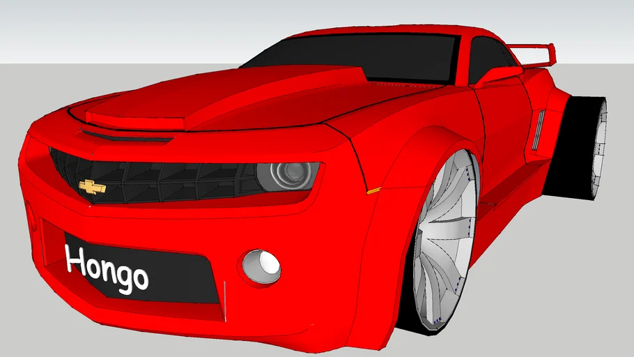 mi camaro hongo 2