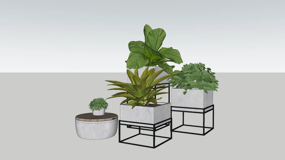 Macetas Pots Plantas Plants