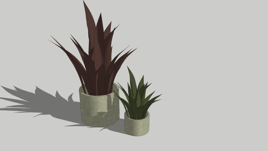 Small plants // indoor