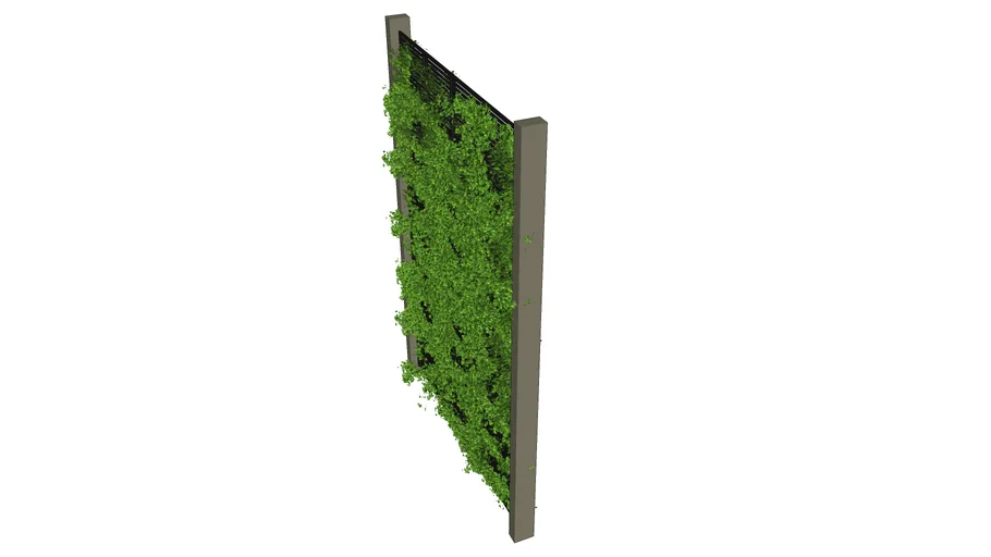 Green Wall