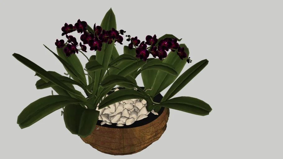Vaso de orquídeas