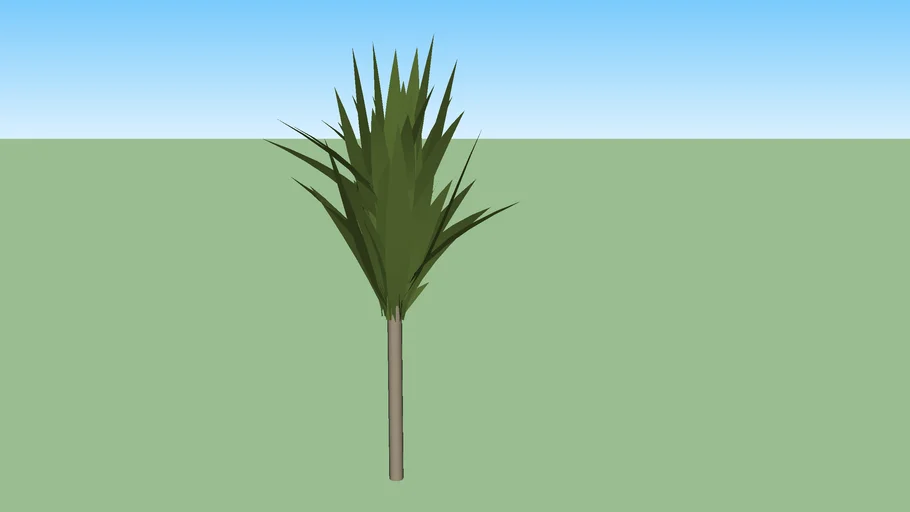 DRACENA ARBÓREA