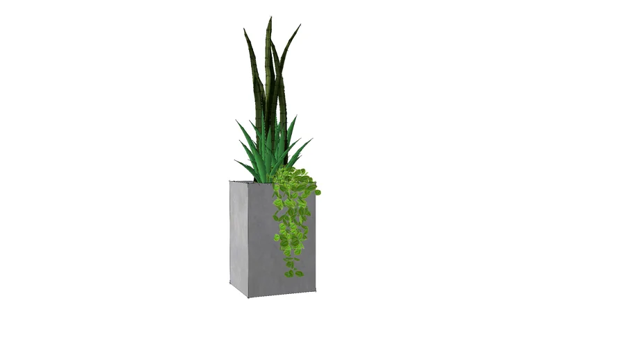 Concrete Planter