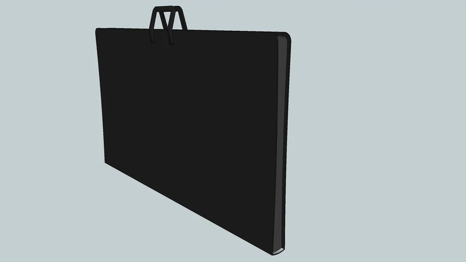 Porfolio Case