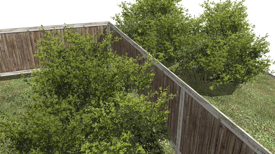 SetTree3D: Yellow Jasmine