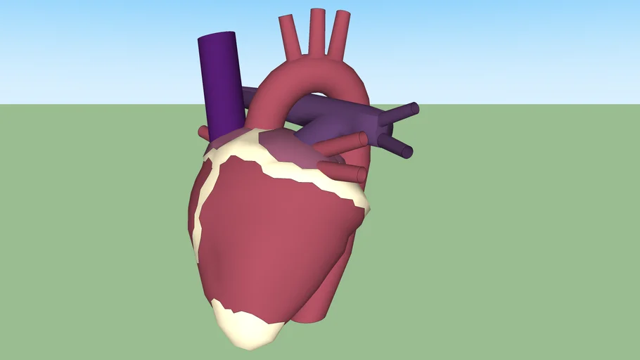 hart | 3D Warehouse