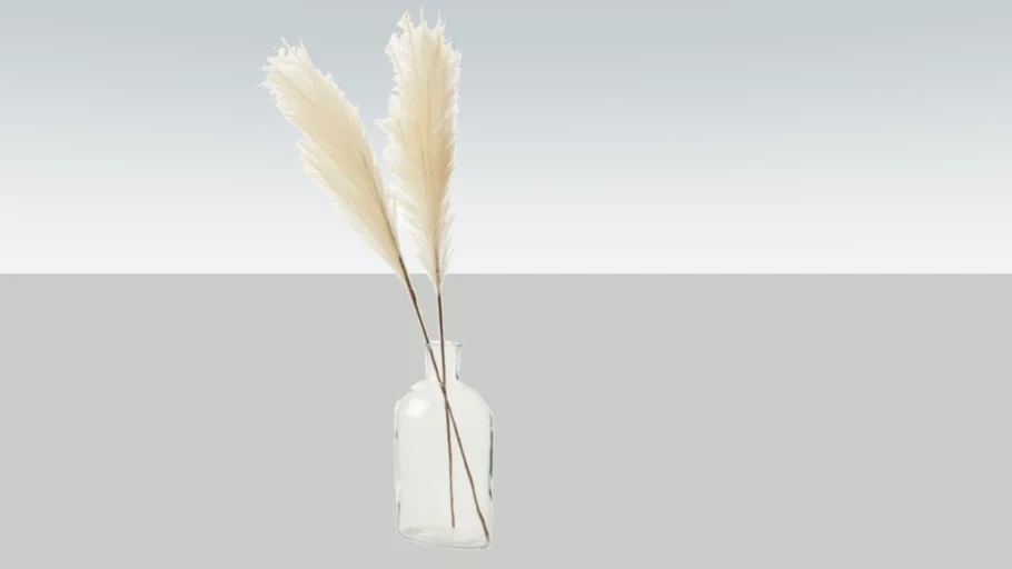 PAMPAS GRASS DECORATION 2D BOHO