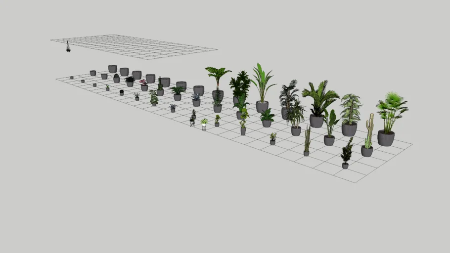 Plants
