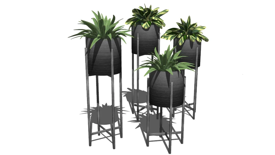 Planta - jogo de vasos