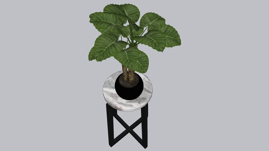 side table with plant g